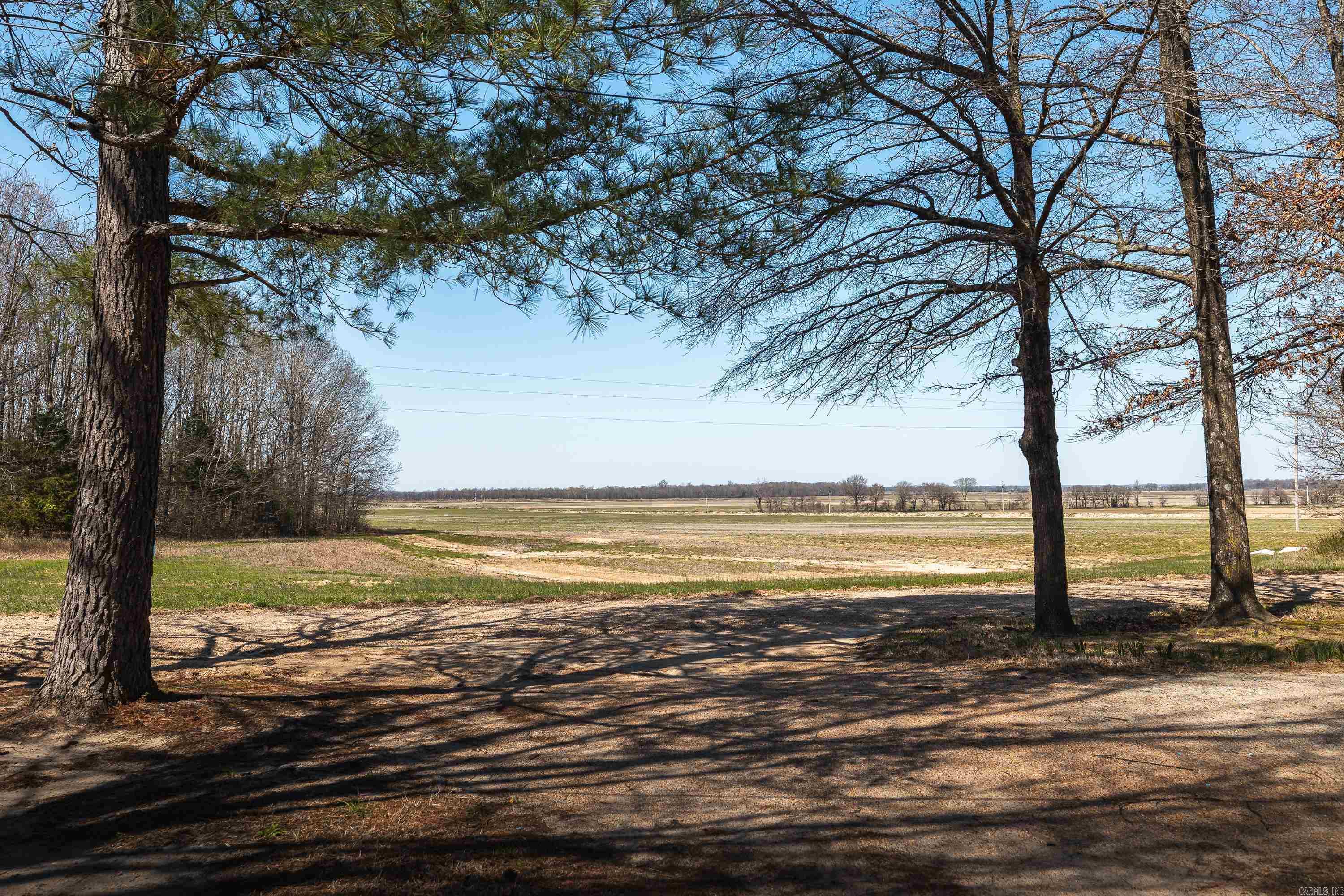 358 county road 441  Corning, AR