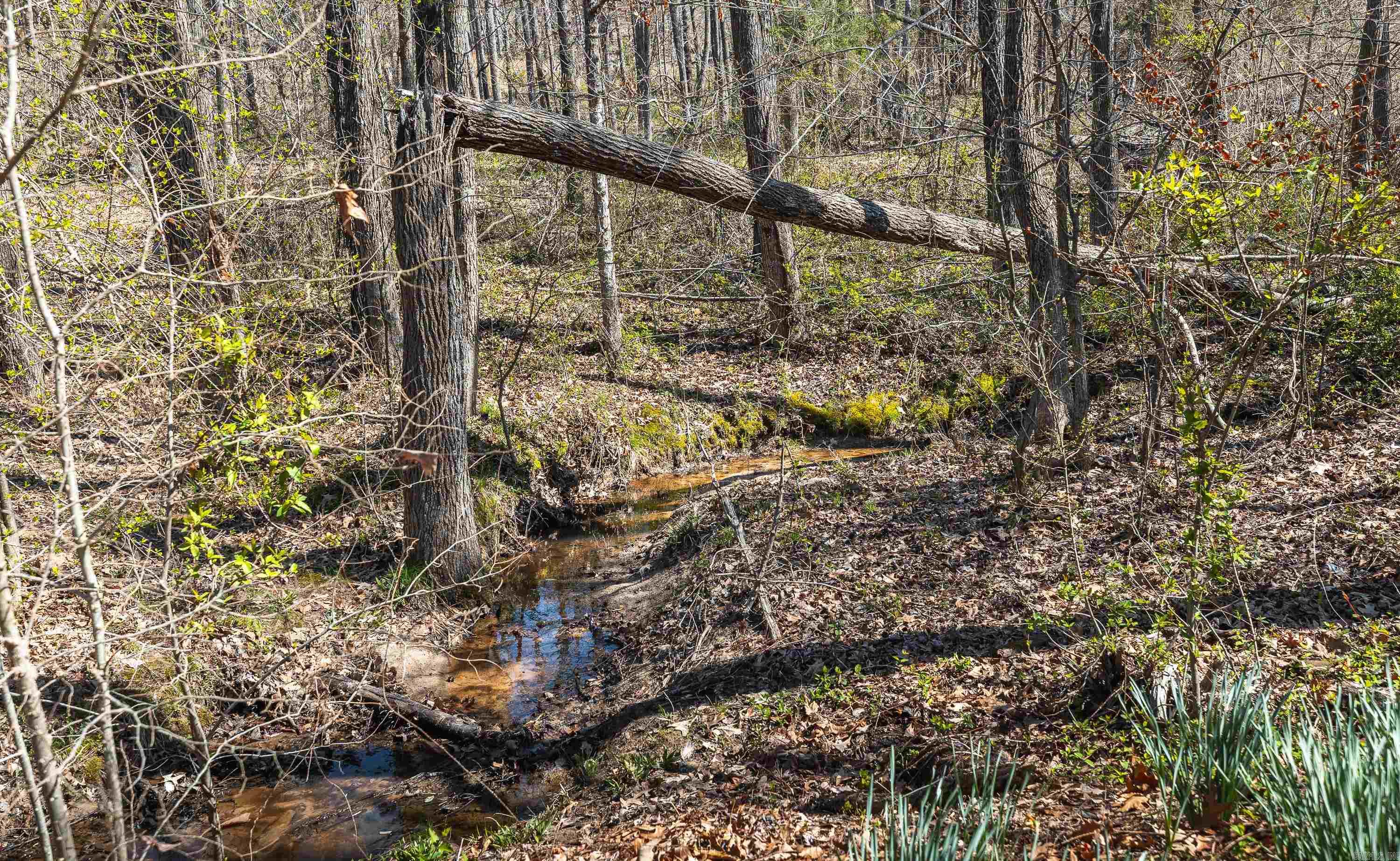 358 county road 441  Corning, AR