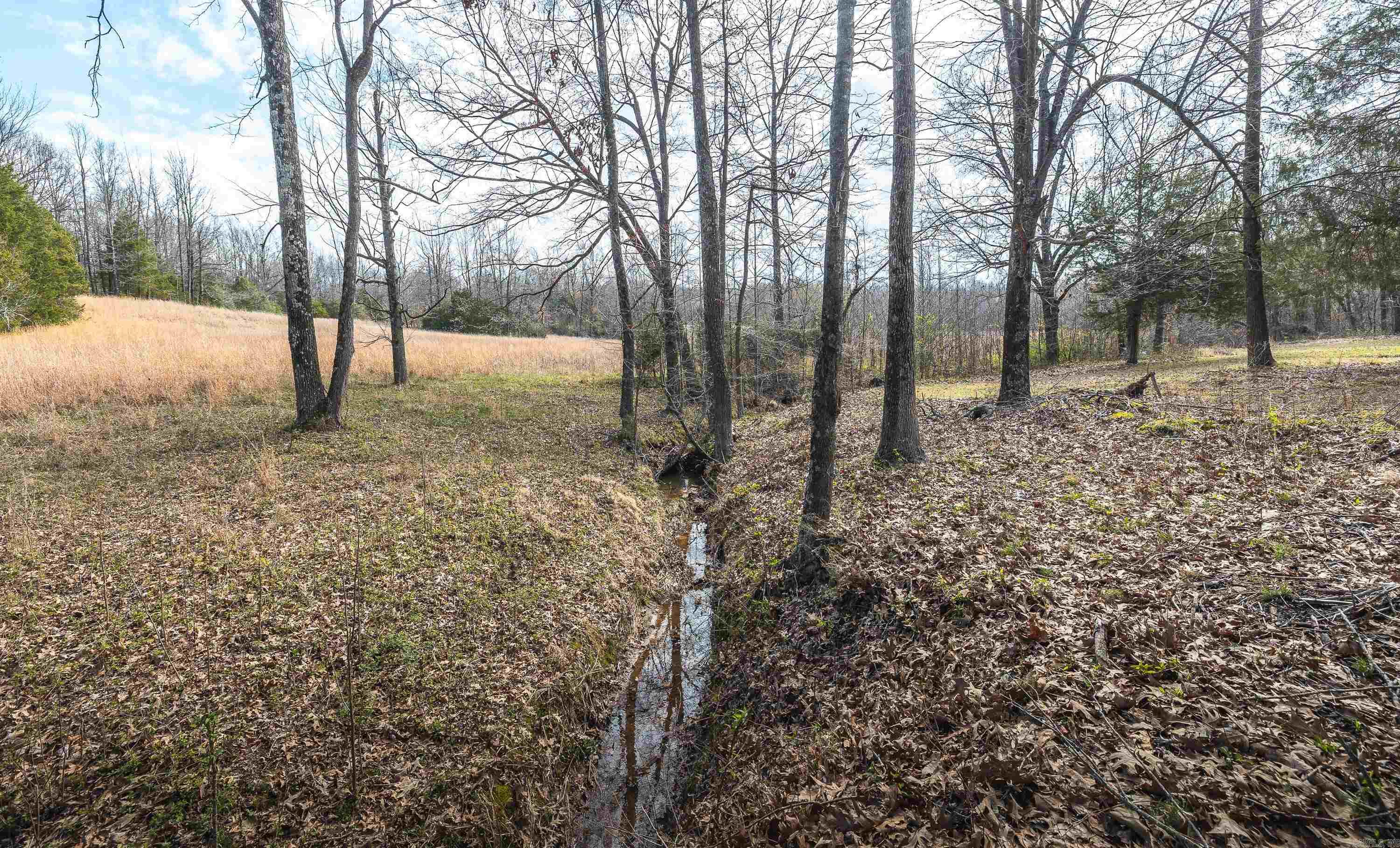 358 county road 441  Corning, AR