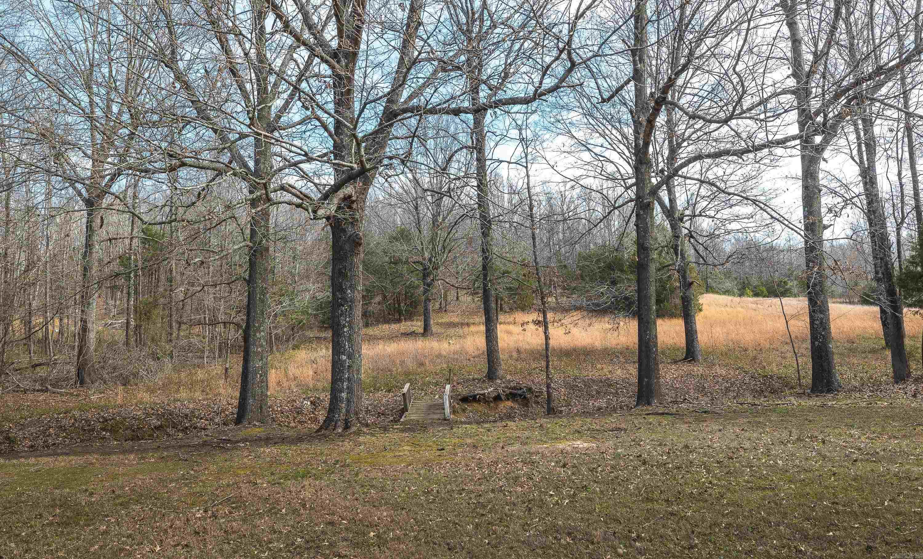 358 county road 441  Corning, AR