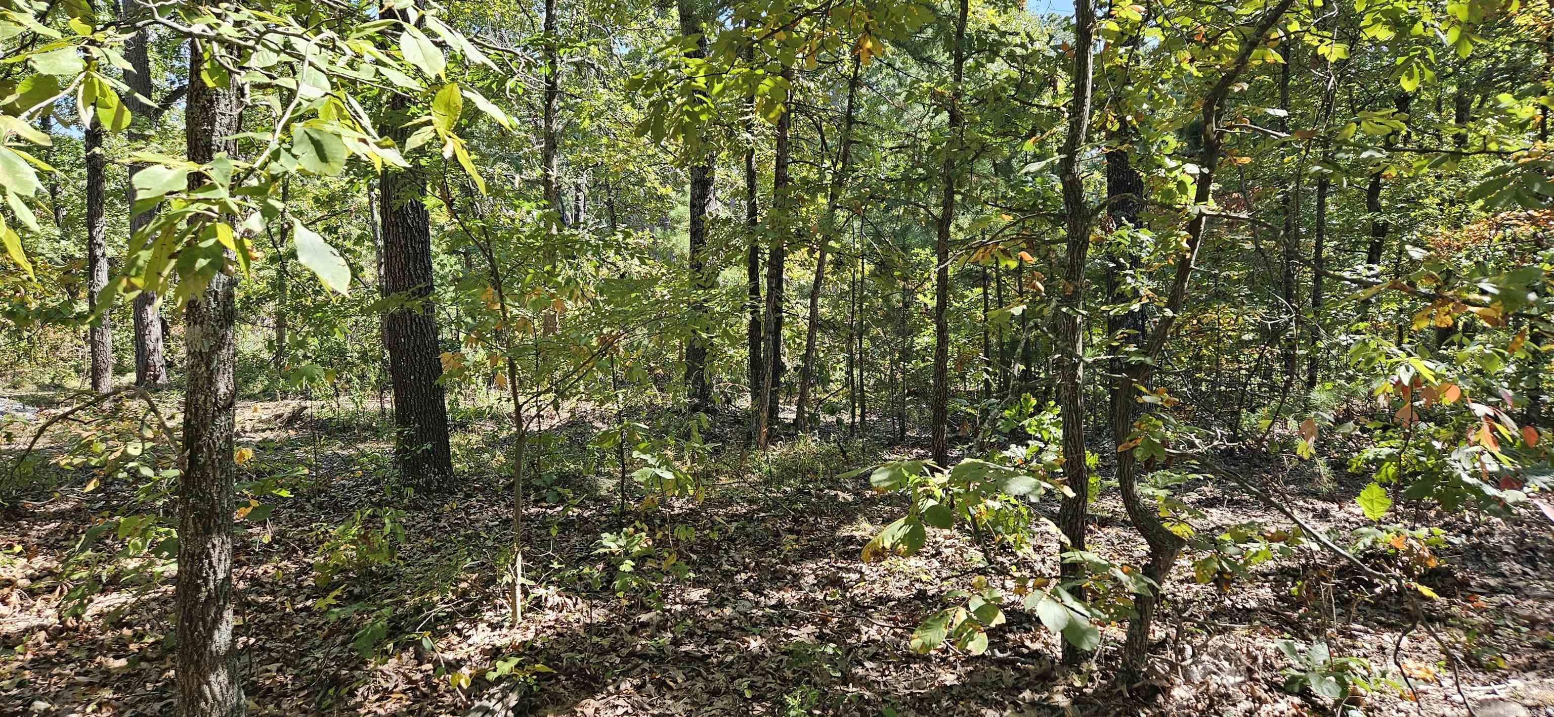 229 Elmbrook Lane  Yellville, AR