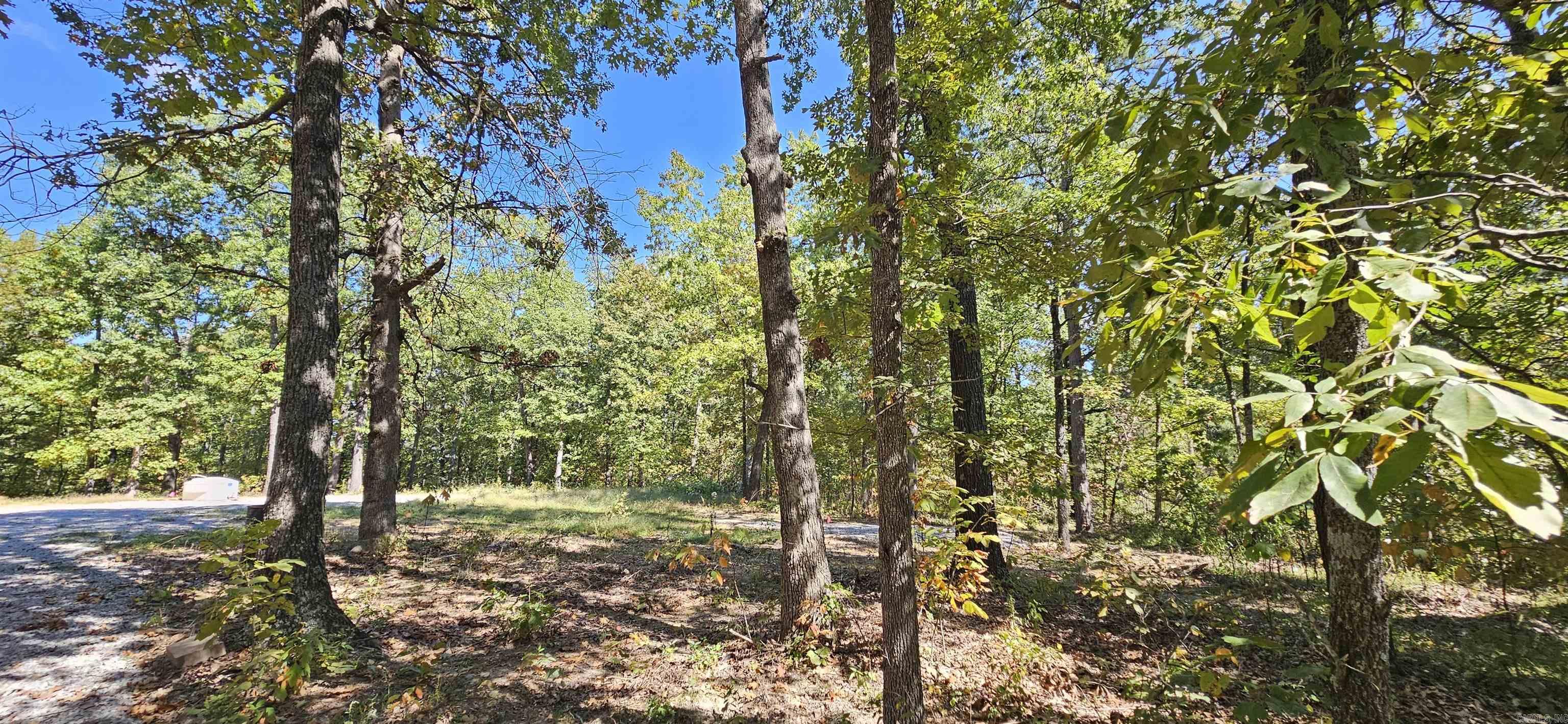 229 Elmbrook Lane  Yellville, AR