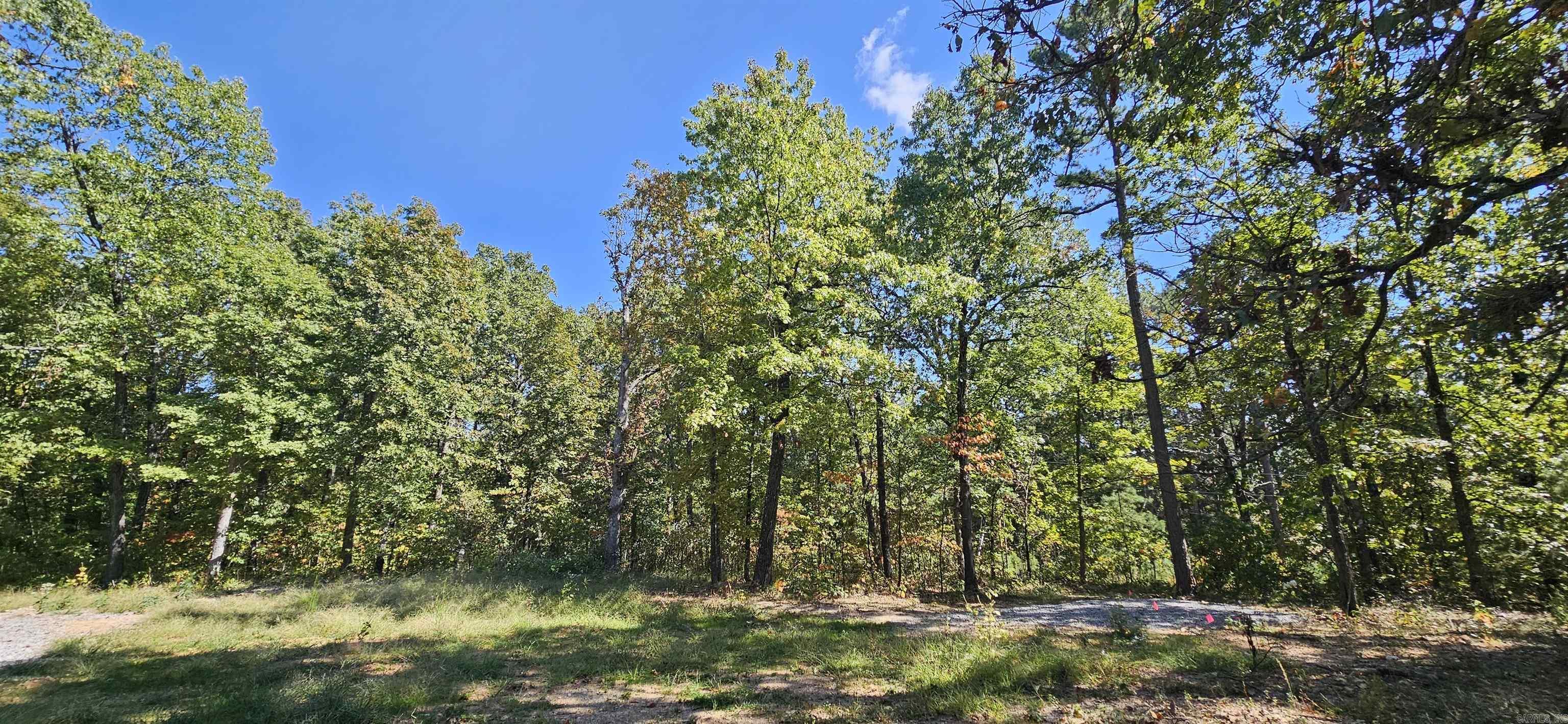 229 Elmbrook Lane  Yellville, AR