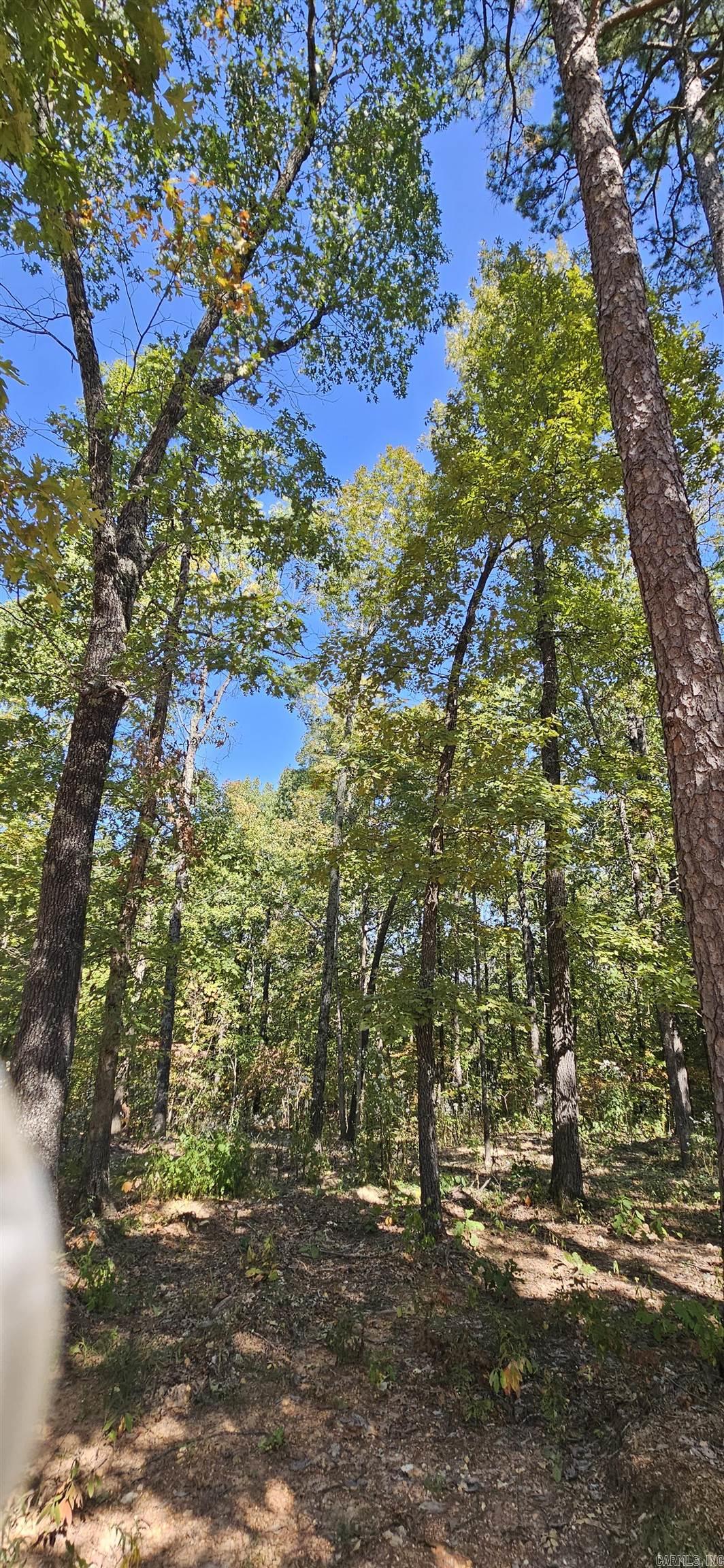 229 Elmbrook Lane  Yellville, AR