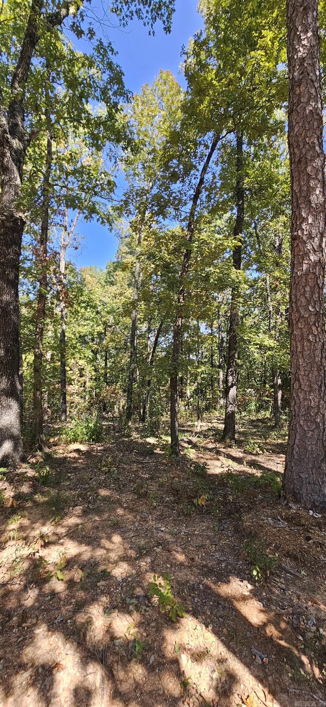 229 Elmbrook Lane  Yellville, AR