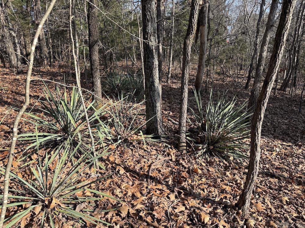  Pecks Drive N  Bergman, AR