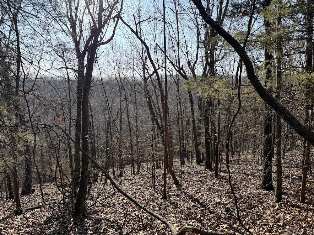  Pecks Drive N  Bergman, AR