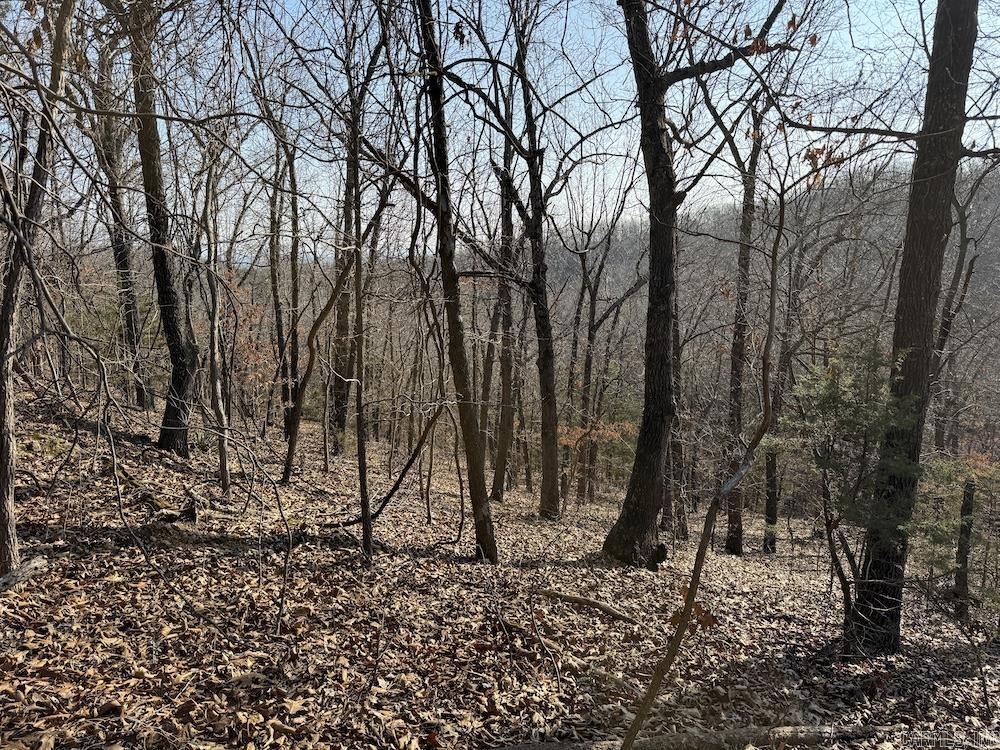  Pecks Drive N  Bergman, AR