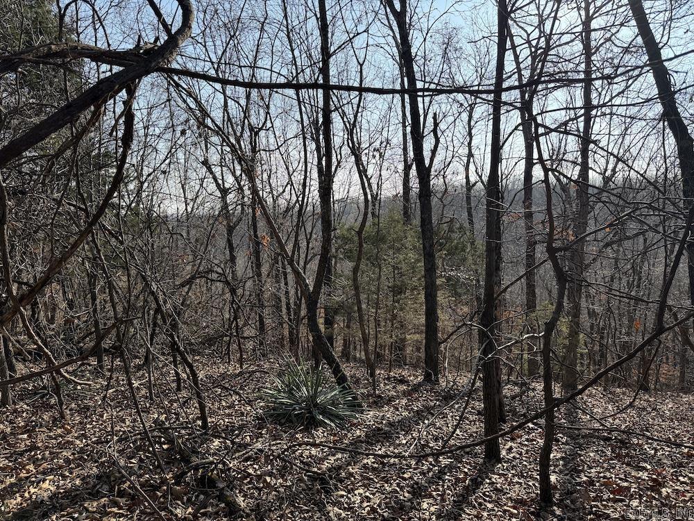  Pecks Drive N  Bergman, AR