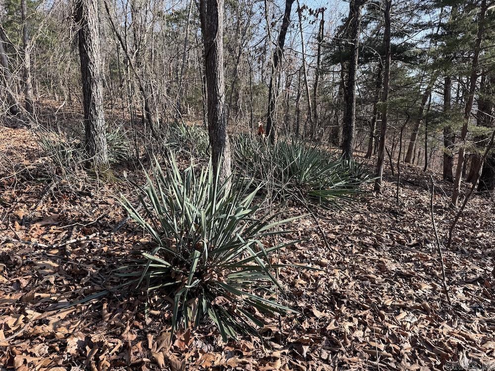  Pecks Drive N  Bergman, AR