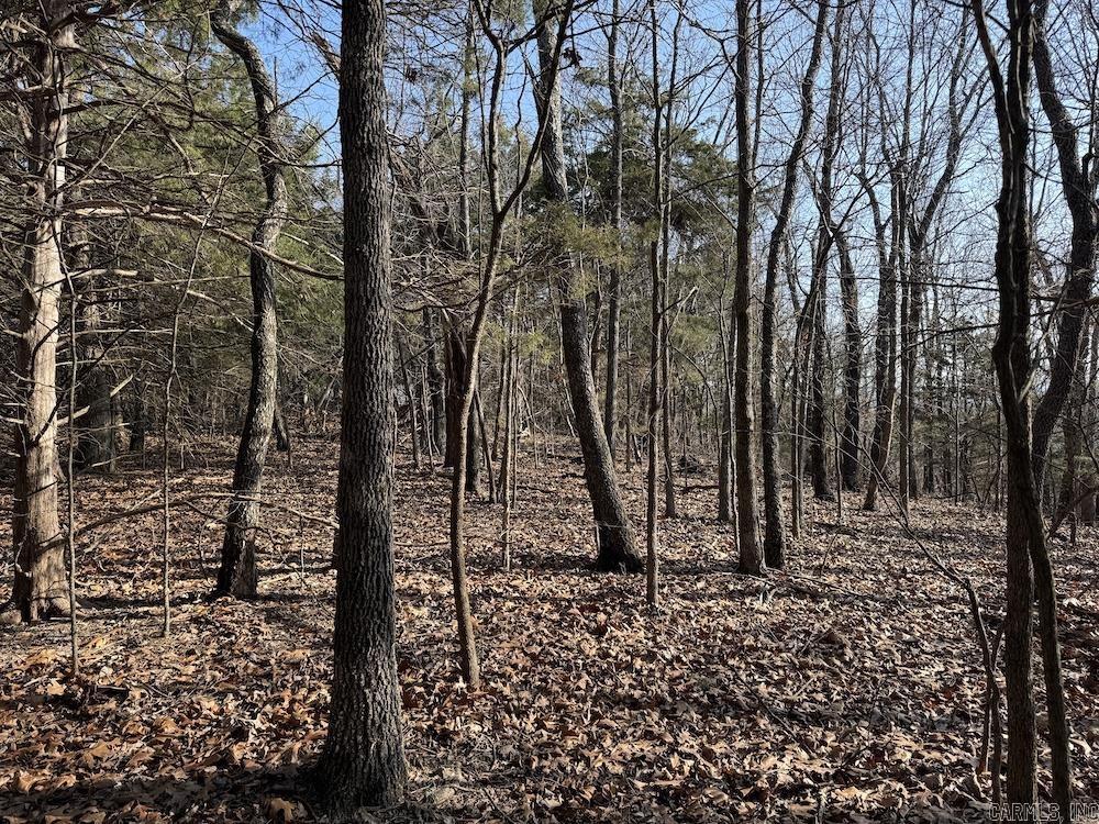  Pecks Drive N  Bergman, AR