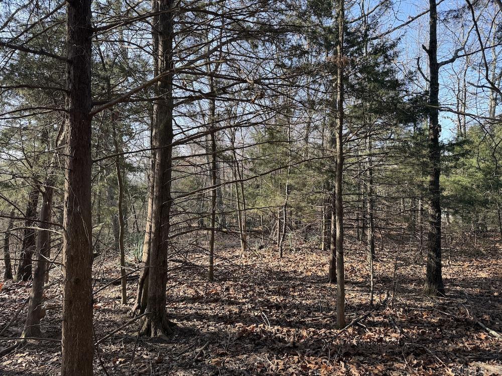  Pecks Drive N  Bergman, AR