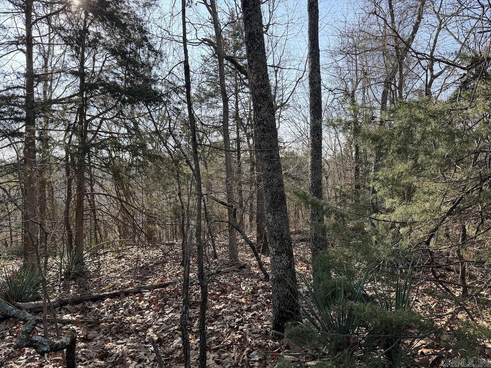  Pecks Drive N  Bergman, AR