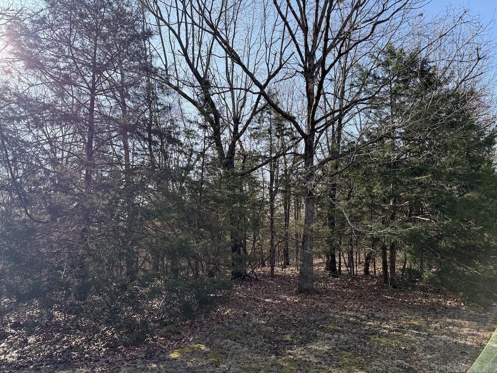  Pecks Drive N  Bergman, AR