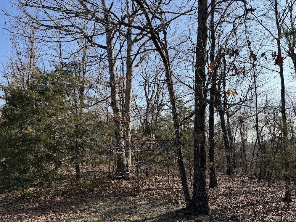  Pecks Drive N  Bergman, AR