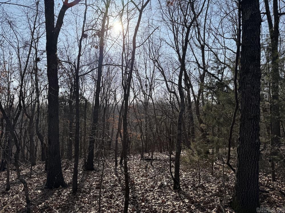  Pecks Drive N  Bergman, AR