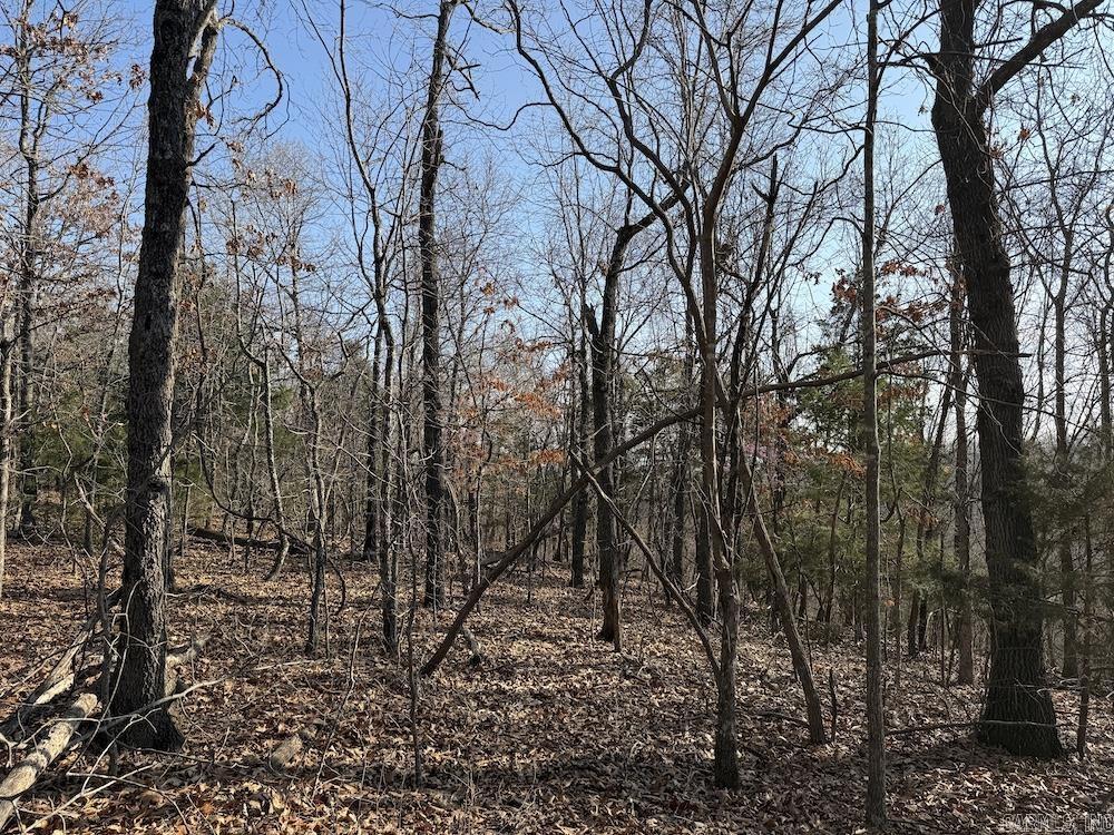  Pecks Drive N  Bergman, AR