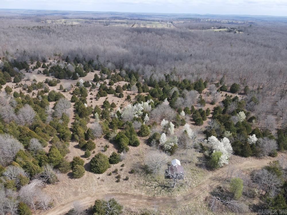  Red Bud Road  Sturkie, AR