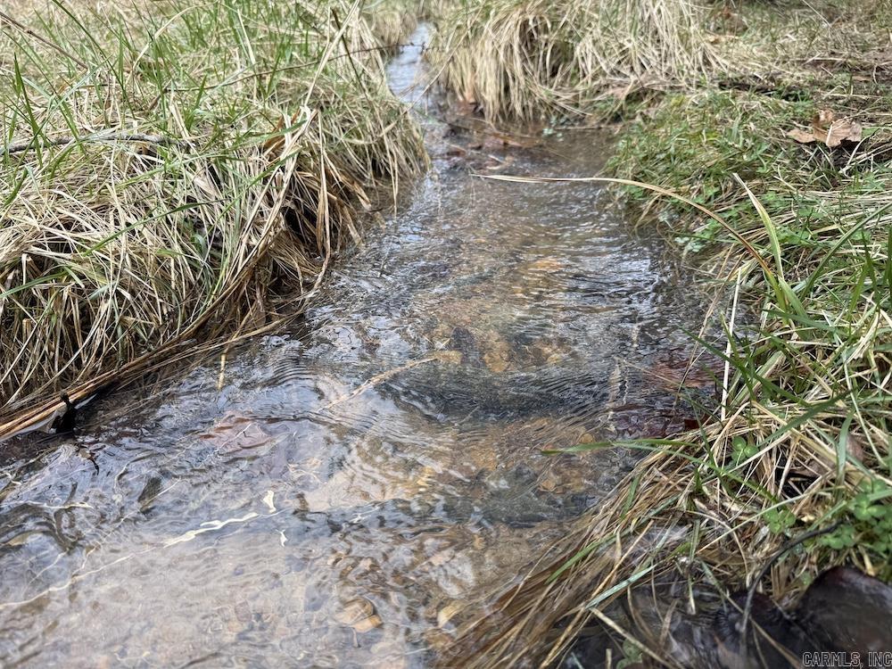  Red Bud Road  Sturkie, AR