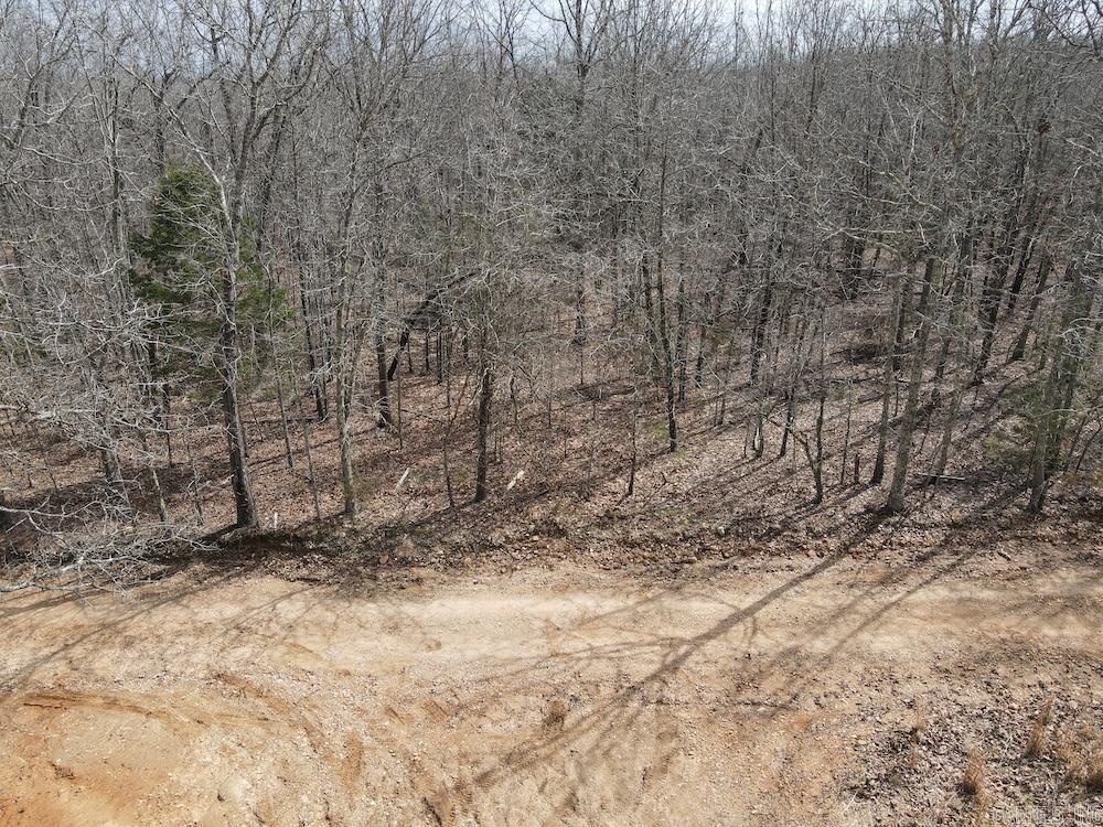  Red Bud Road  Sturkie, AR