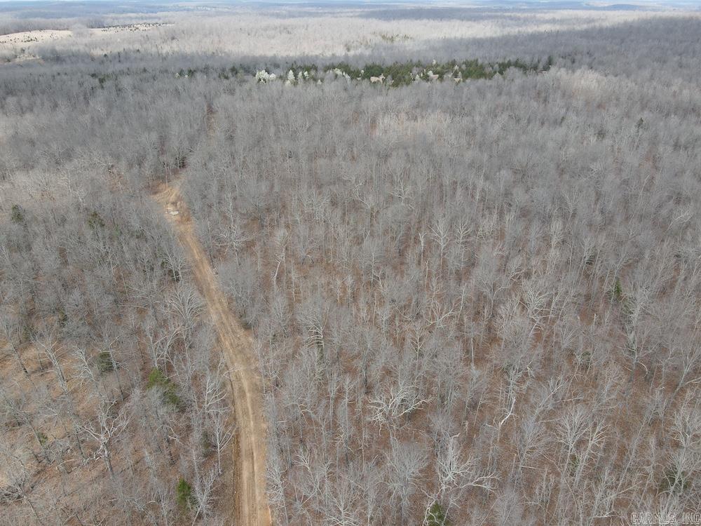  Red Bud Road  Sturkie, AR