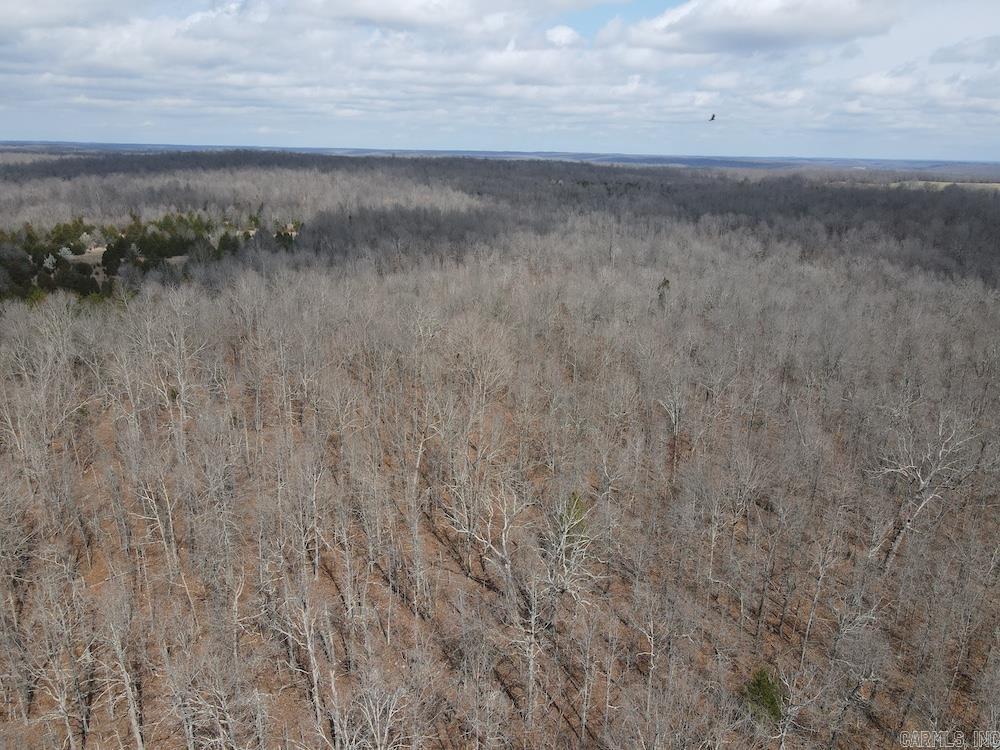  Red Bud Road  Sturkie, AR