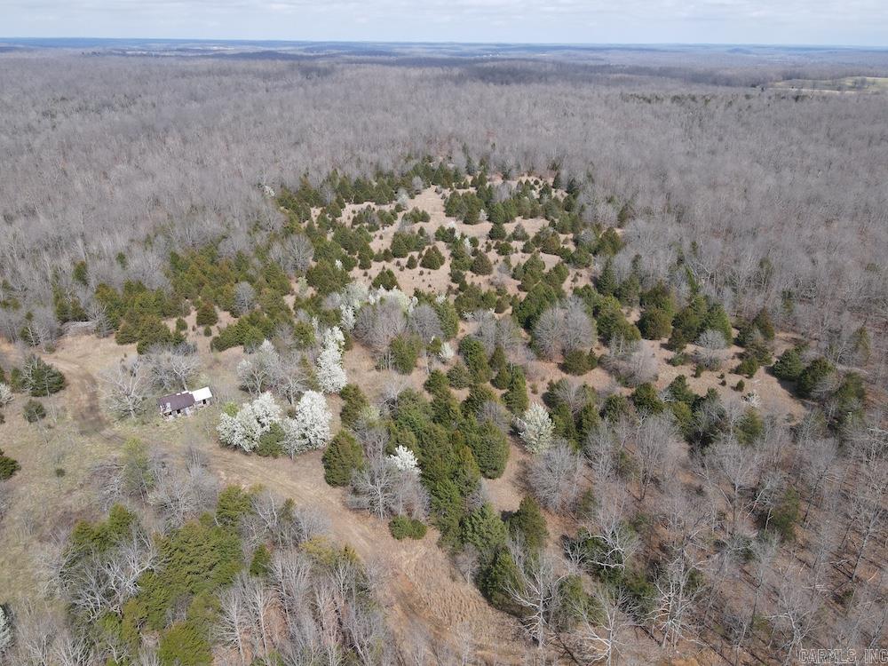  Red Bud Road  Sturkie, AR