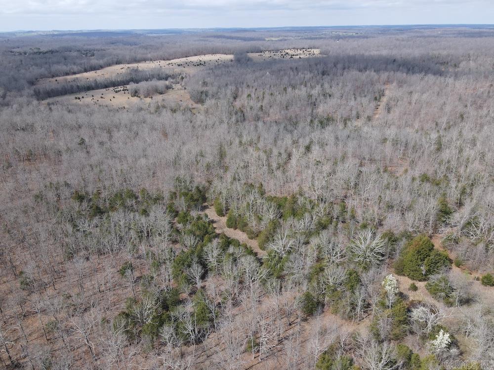  Red Bud Road  Sturkie, AR