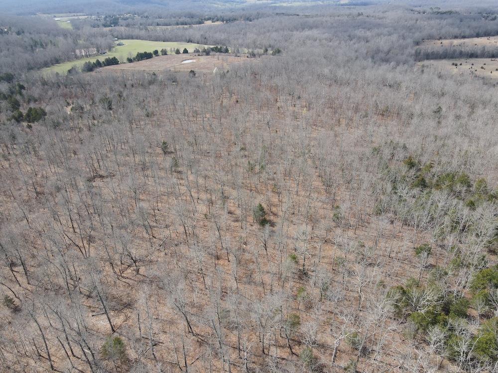  Red Bud Road  Sturkie, AR