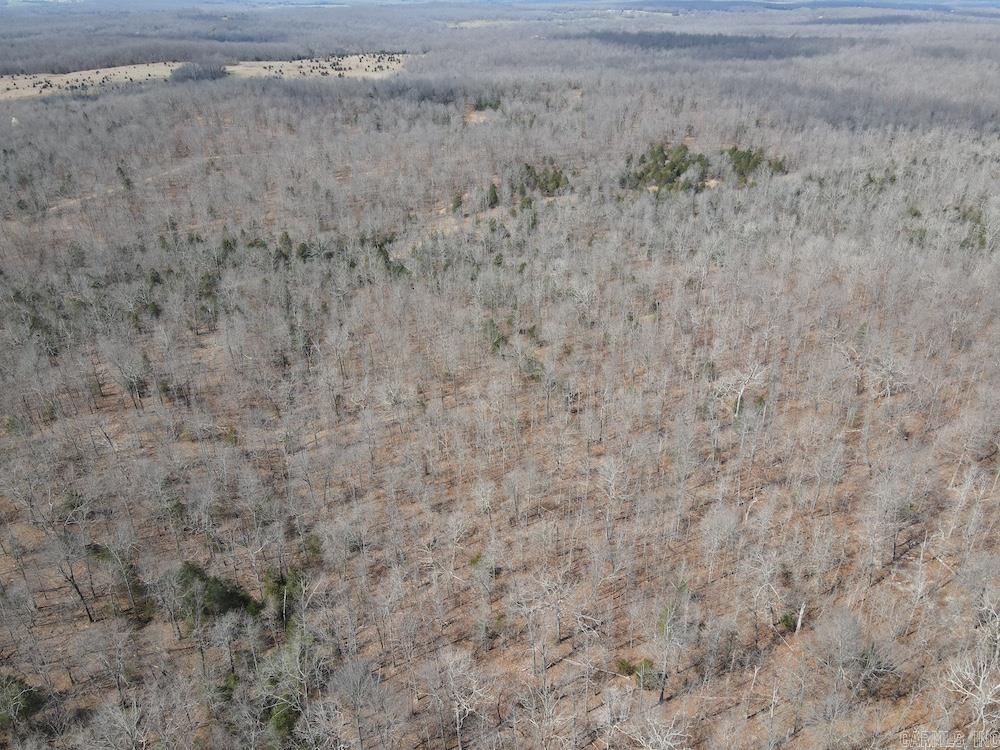  Red Bud Road  Sturkie, AR