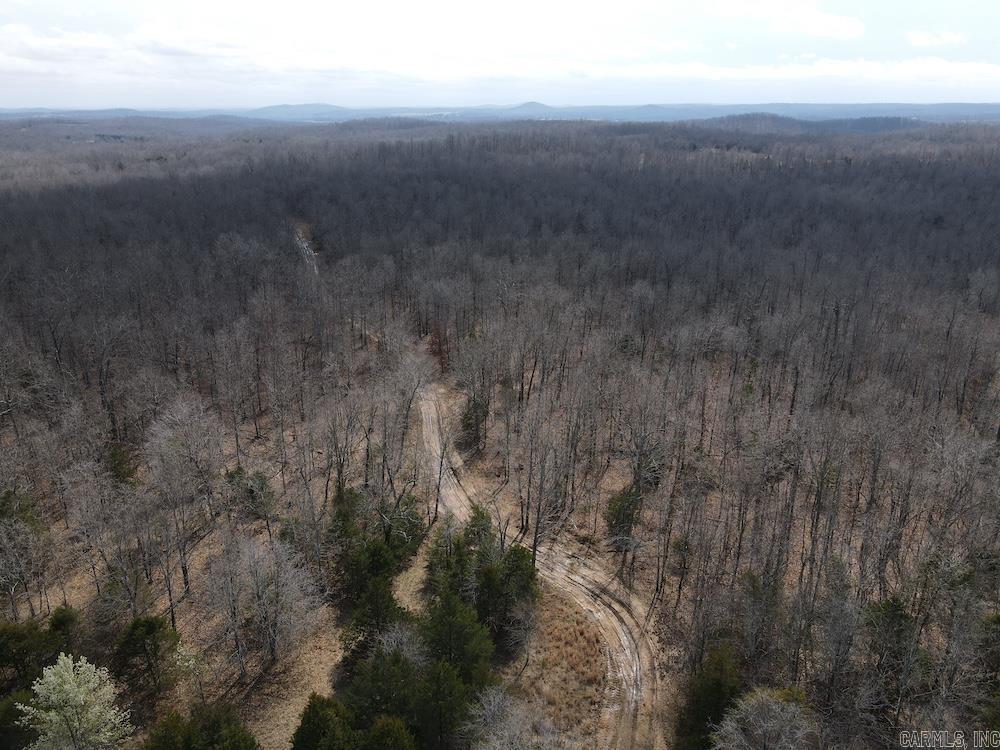  Red Bud Road  Sturkie, AR
