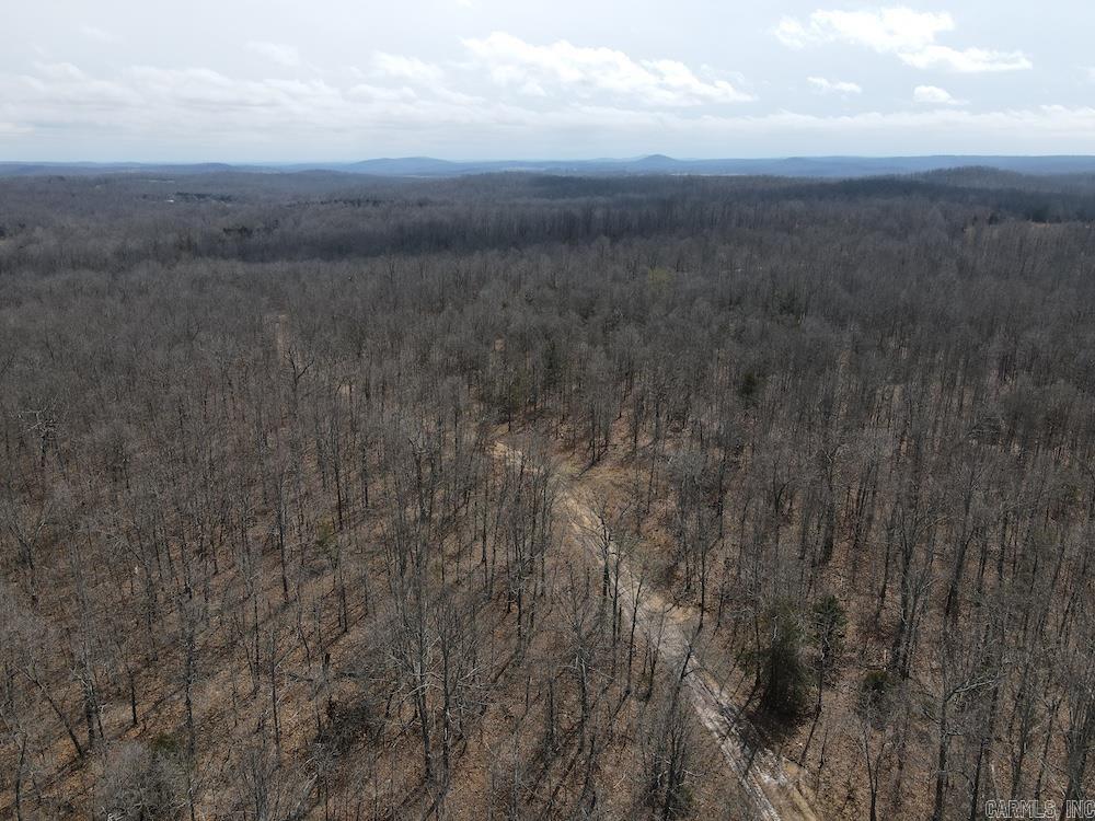  Red Bud Road  Sturkie, AR