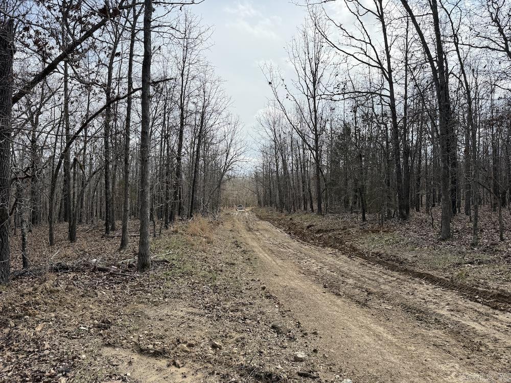  Red Bud Road  Sturkie, AR