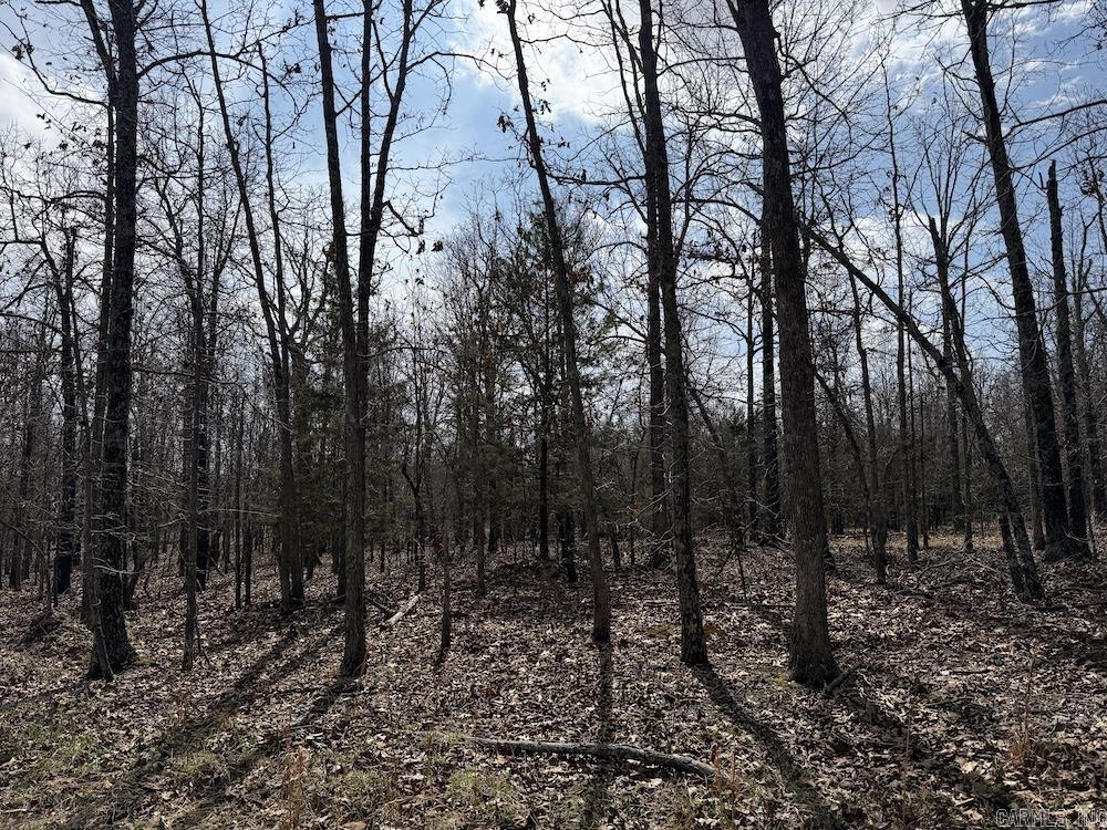  Red Bud Road  Sturkie, AR