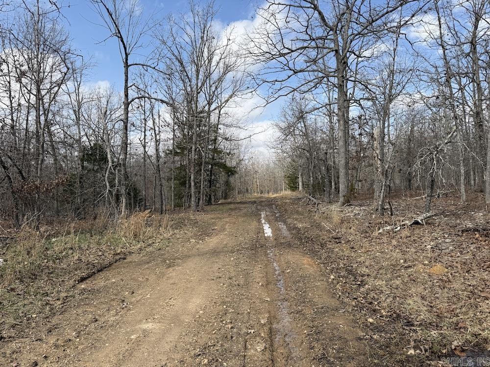 Red Bud Road  Sturkie, AR