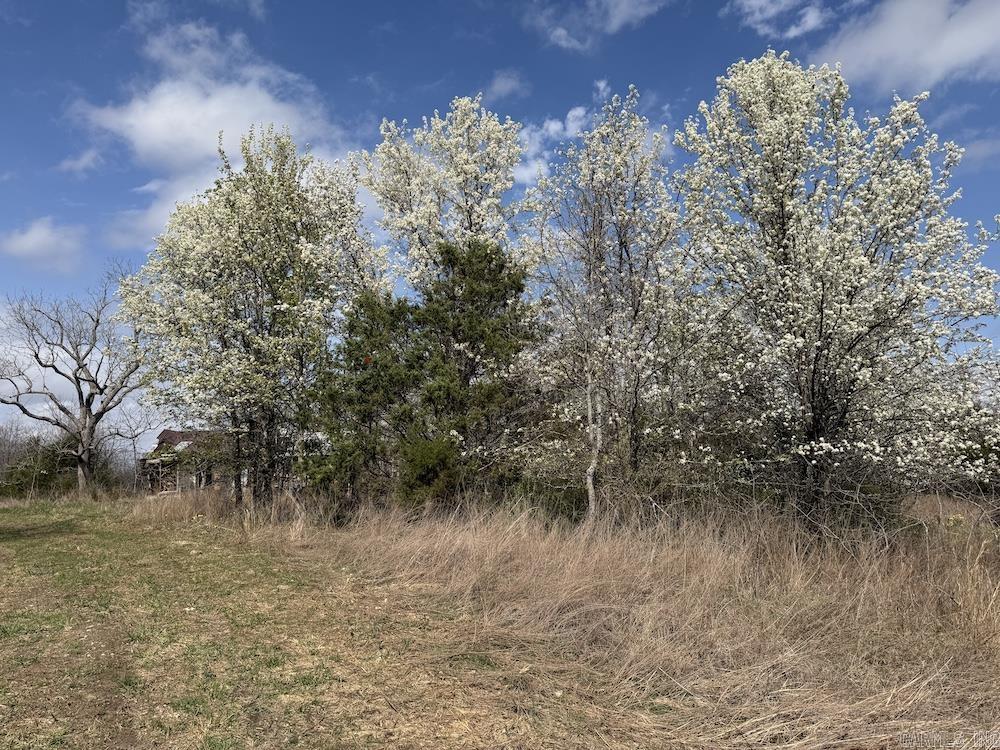  Red Bud Road  Sturkie, AR