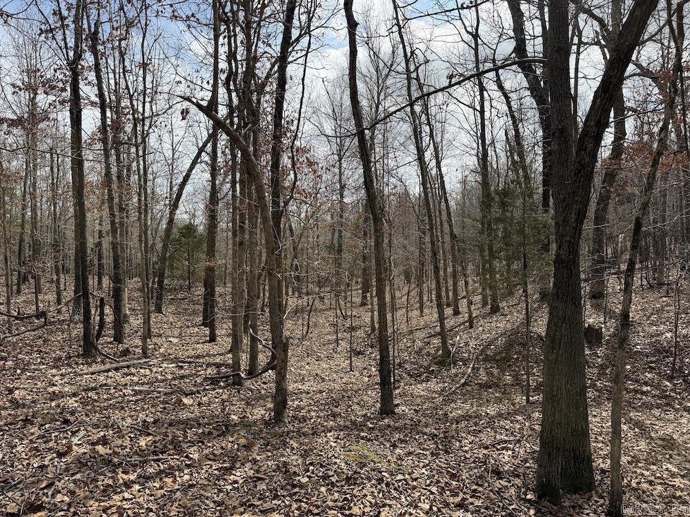  Red Bud Road  Sturkie, AR