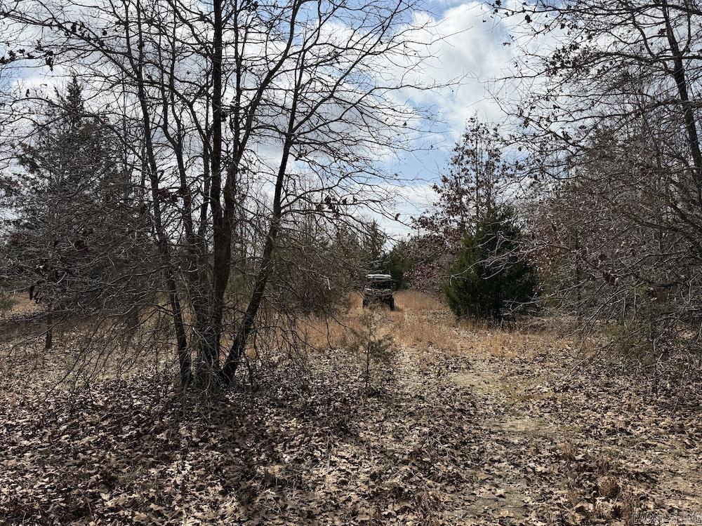  Red Bud Road  Sturkie, AR