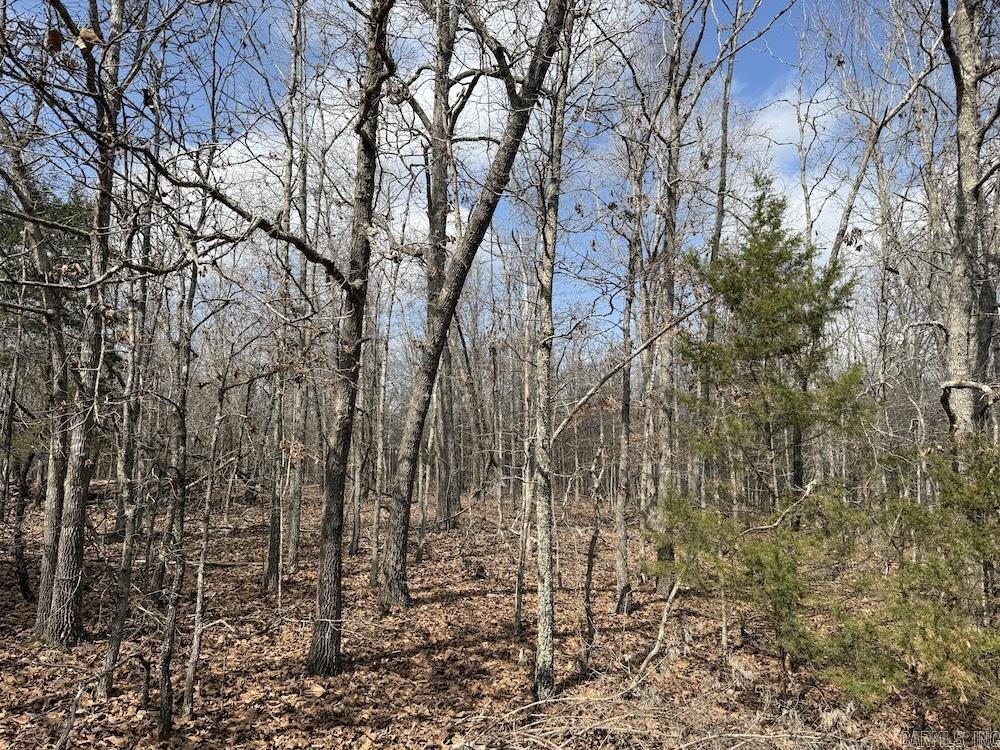  Red Bud Road  Sturkie, AR