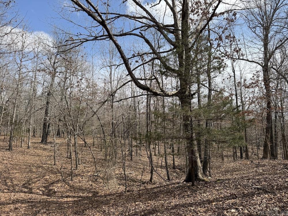  Red Bud Road  Sturkie, AR