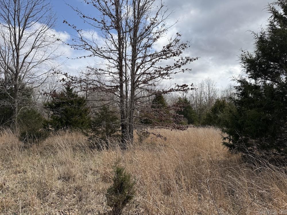  Red Bud Road  Sturkie, AR