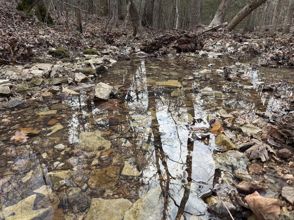  Red Bud Road  Sturkie, AR