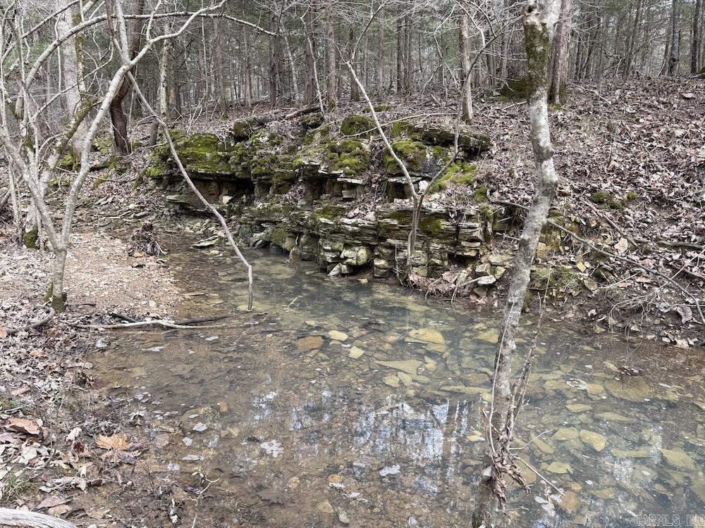  Red Bud Road  Sturkie, AR