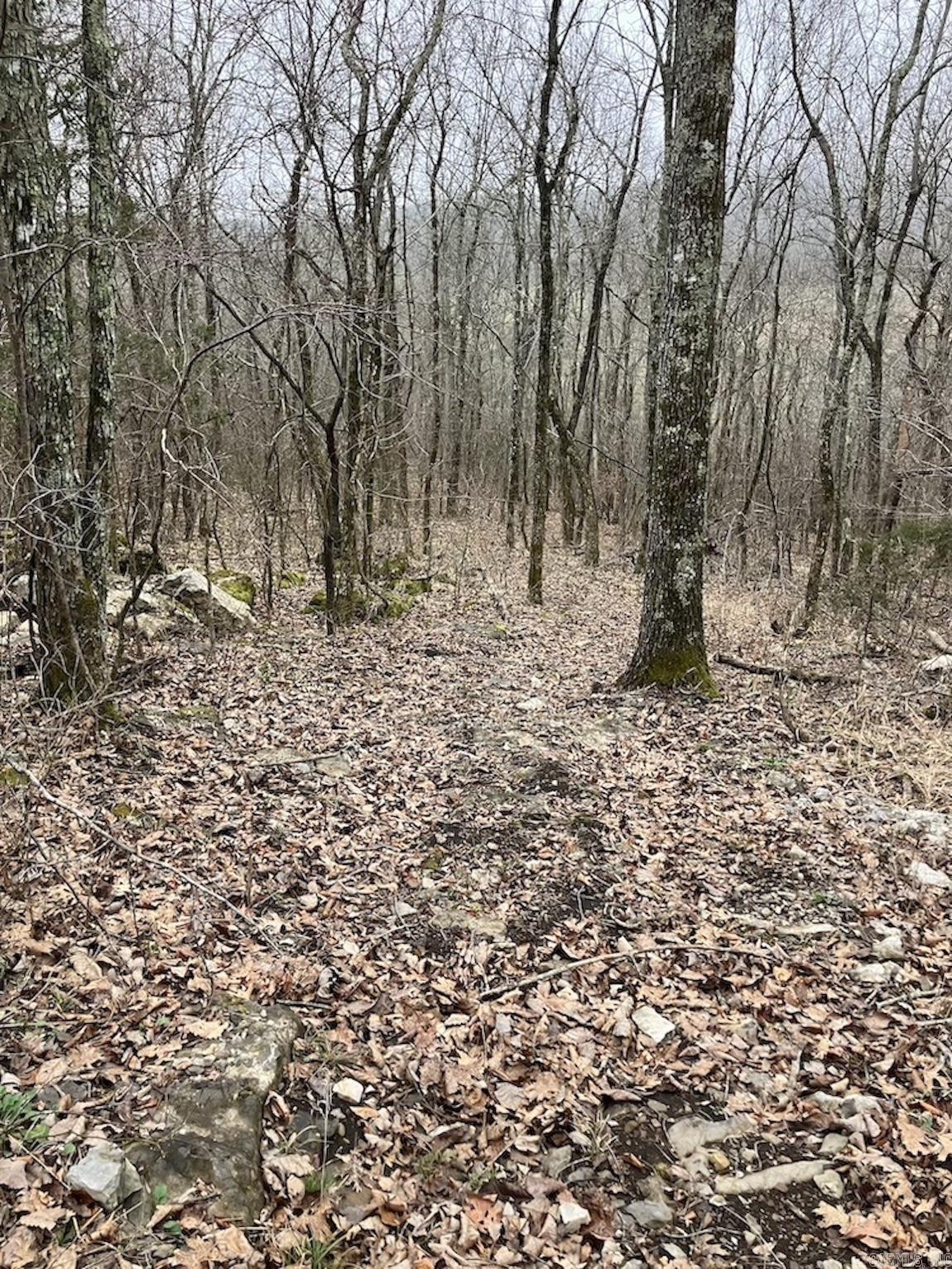  Old 66 Road  Oxley, AR