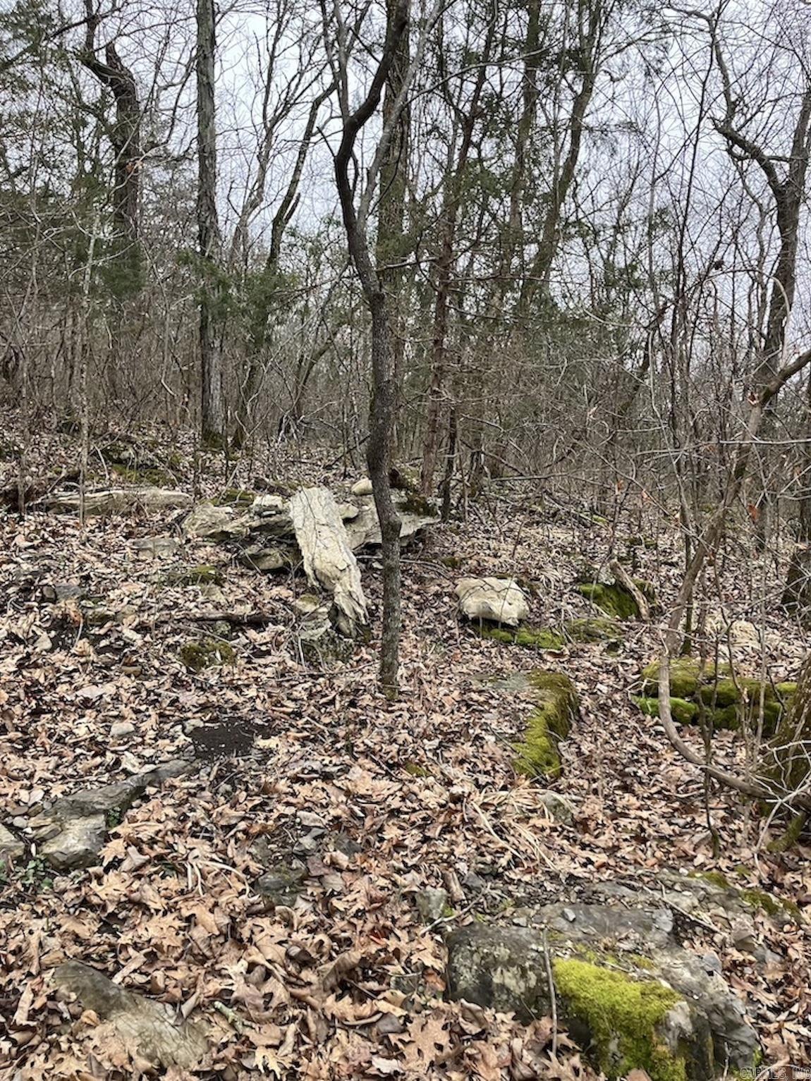  Old 66 Road  Oxley, AR