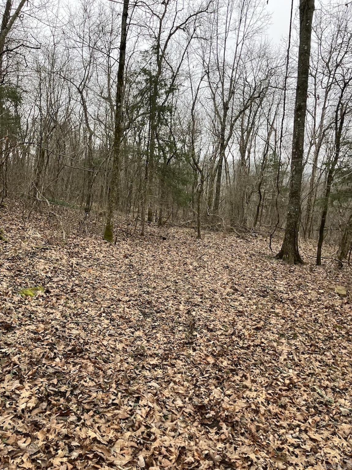  Old 66 Road  Oxley, AR