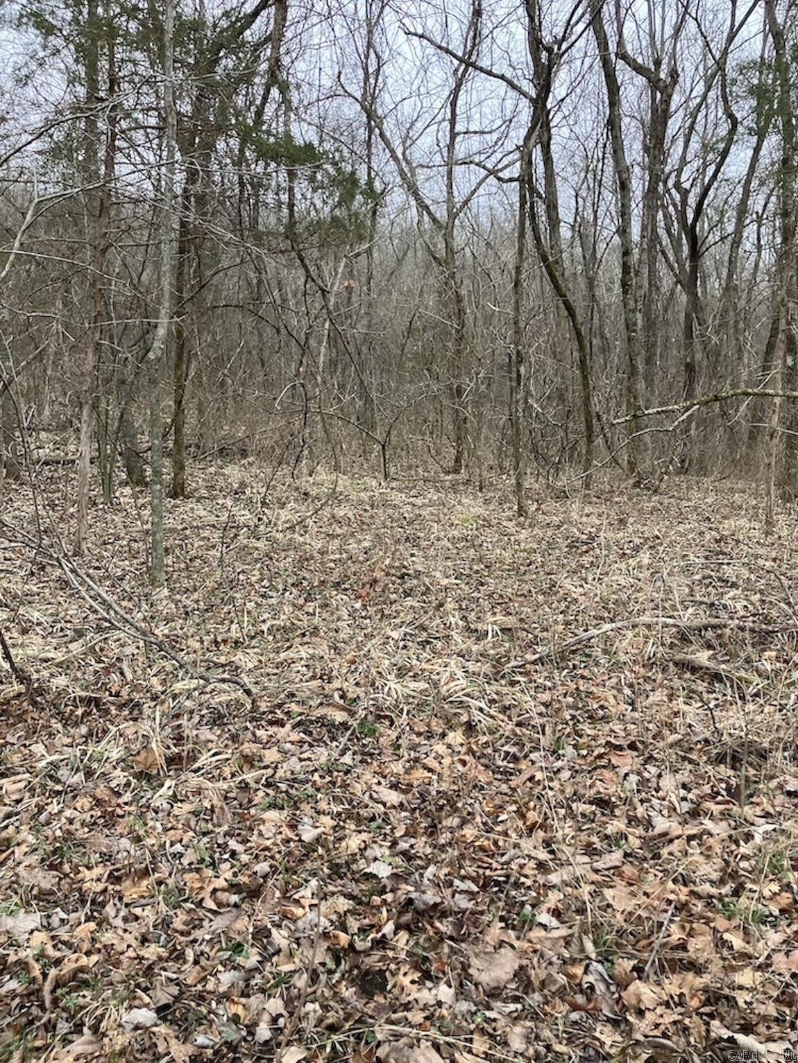  Old 66 Road  Oxley, AR