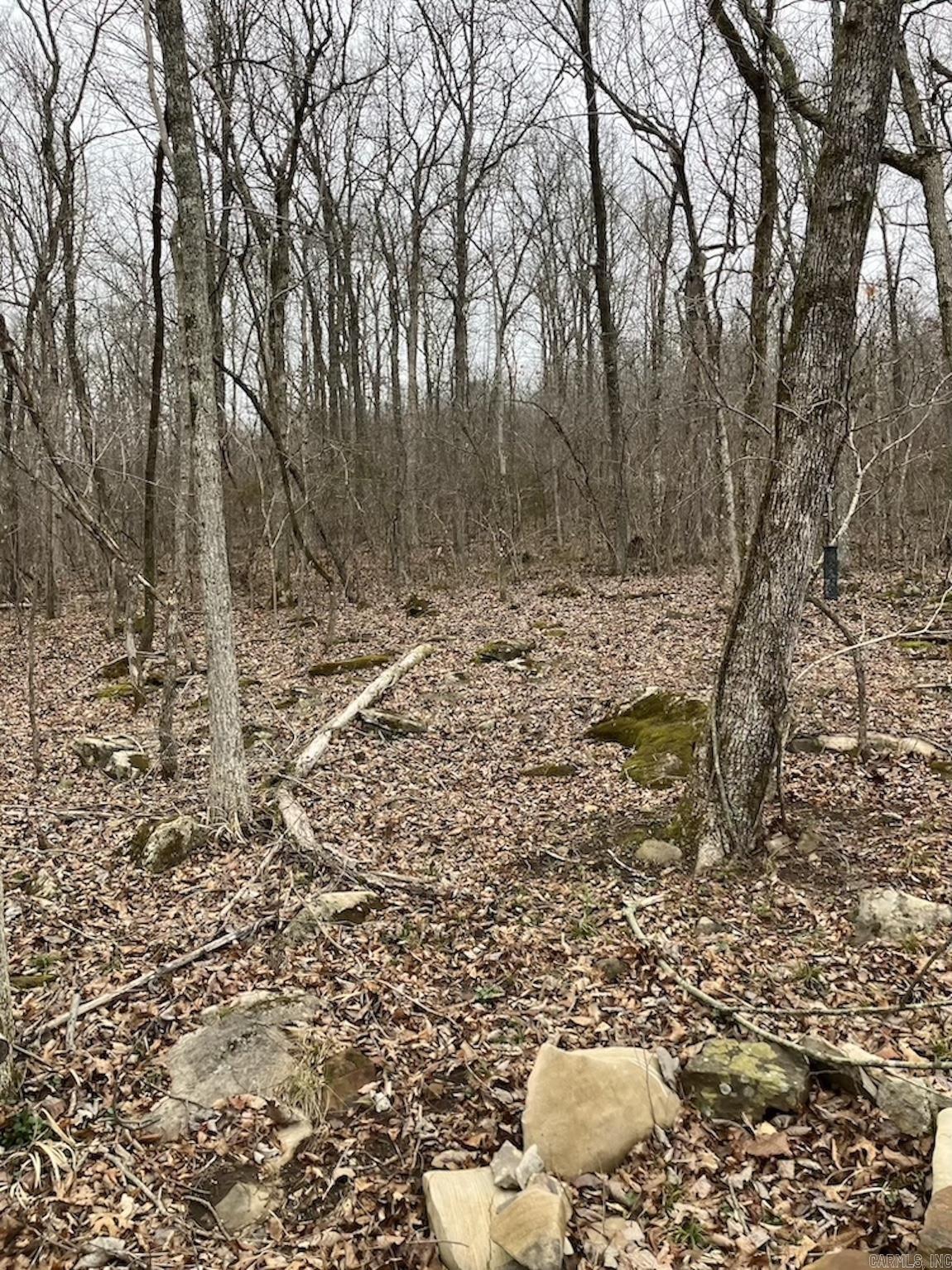  Old 66 Road  Oxley, AR