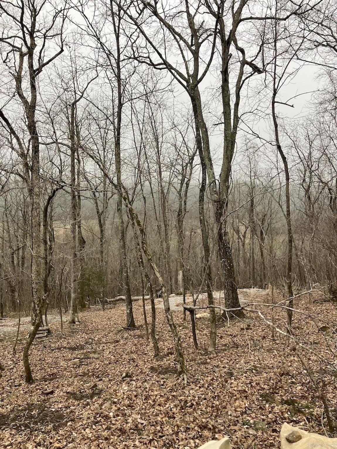  Old 66 Road  Oxley, AR