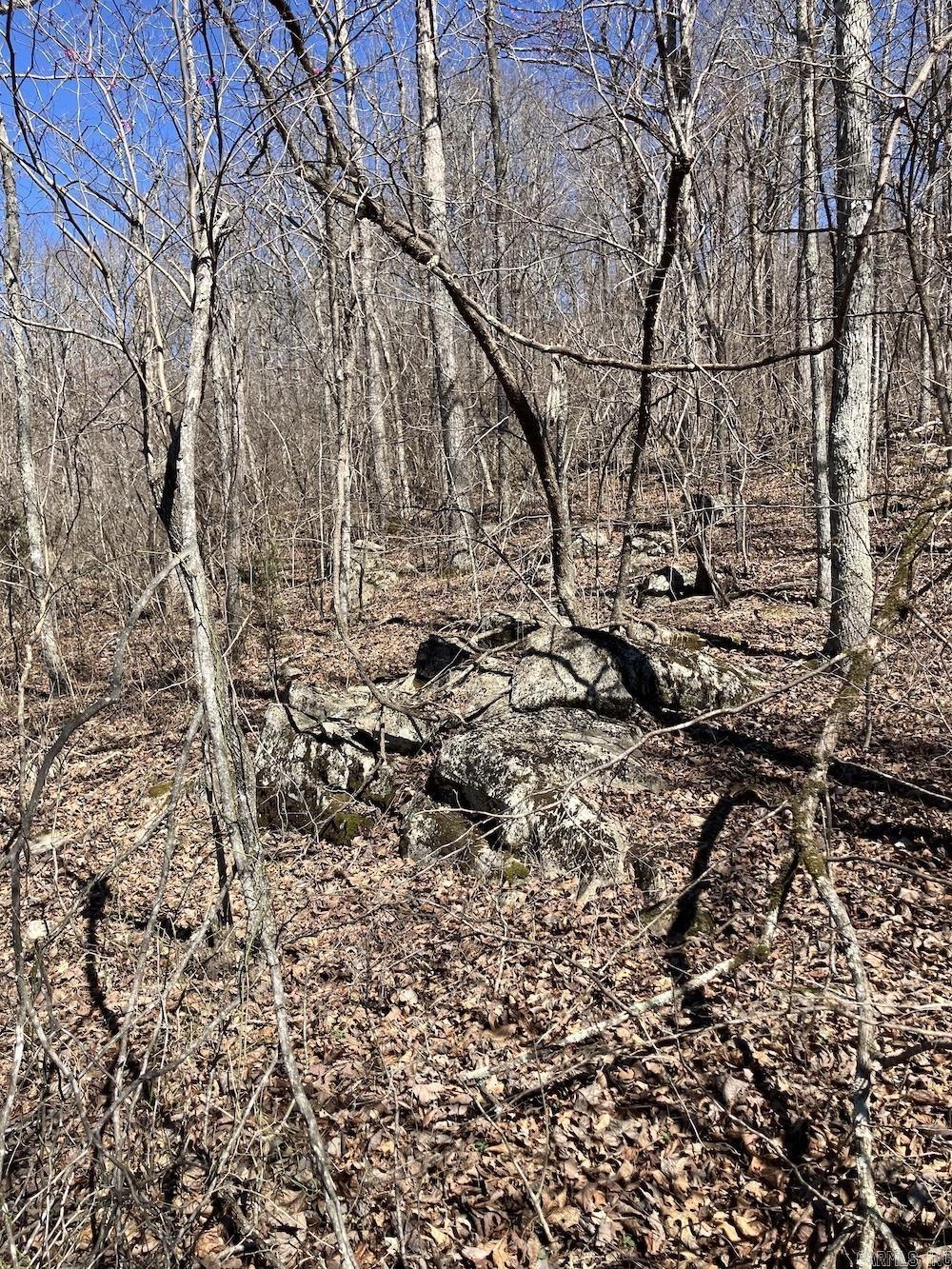  Old 66 Road  Oxley, AR